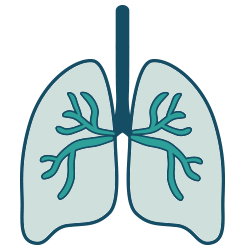 Broncopulmonar