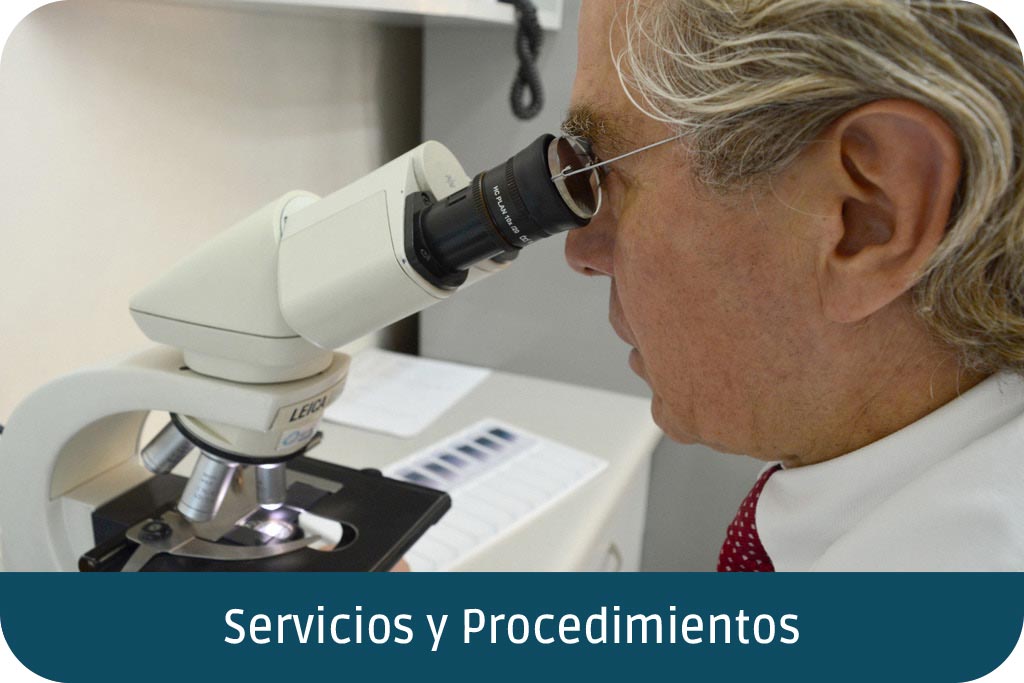 Servicios y Procedimientos